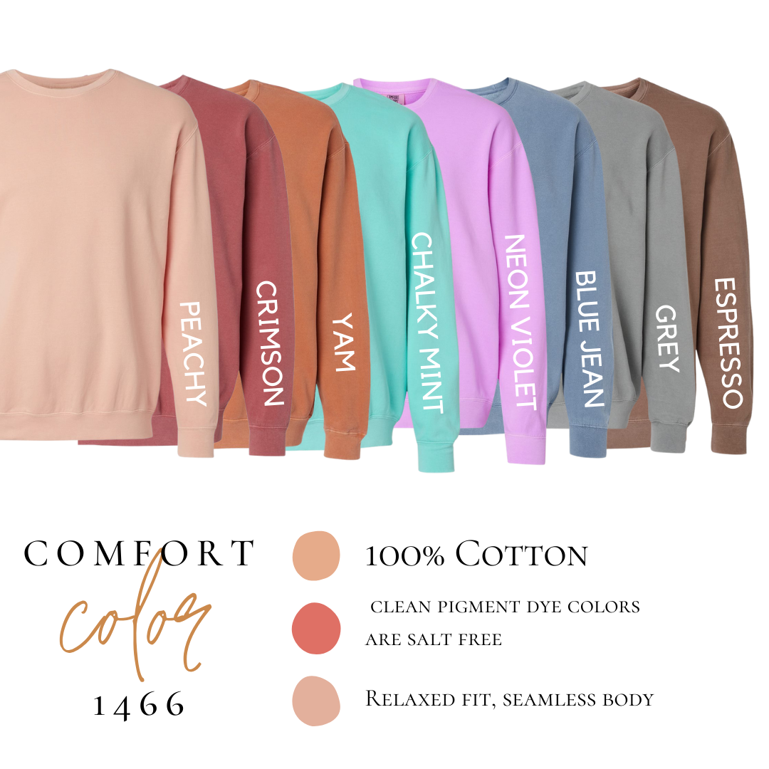 Choose Joy in the Journey Simple Lightweight comfort color crewneck | Be positive pullover | Choose Joy Lightweight wear embroidery |