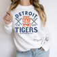 Detroit Baseball Crewneck | DTF Transfer Detroit Tigers Fan Shirt | Vintage Baseball Crew | Unisex Game Day Sweatshirt