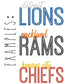 Custom Team Embroidery Design – Sports Embroidery File (Digital Download) (etsy image id: 6933089198)