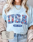 Fourth of July Tshirt, Patriotic Retro tee, Comfort Colors Tee | Patriotic floral Graphic, USA Retro Shirt (etsy image id: 7932869570)
